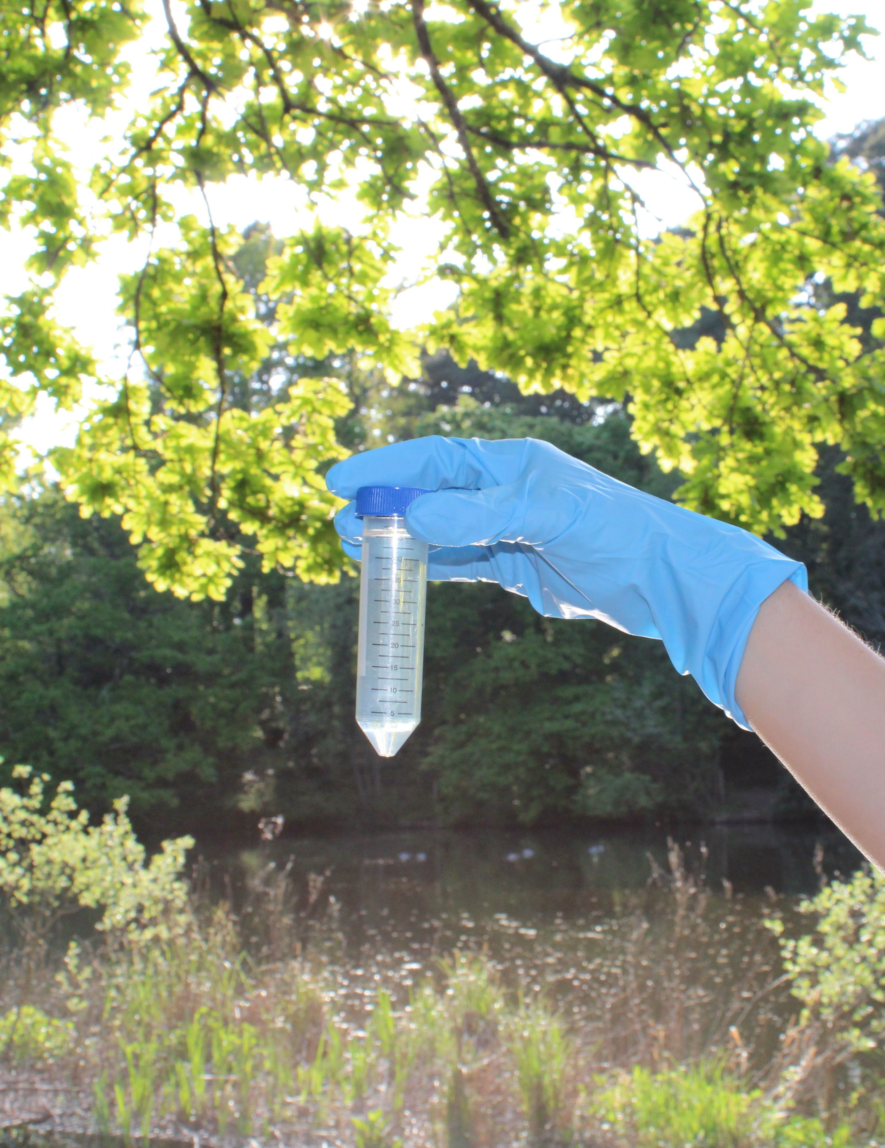 Citizen Science Portal